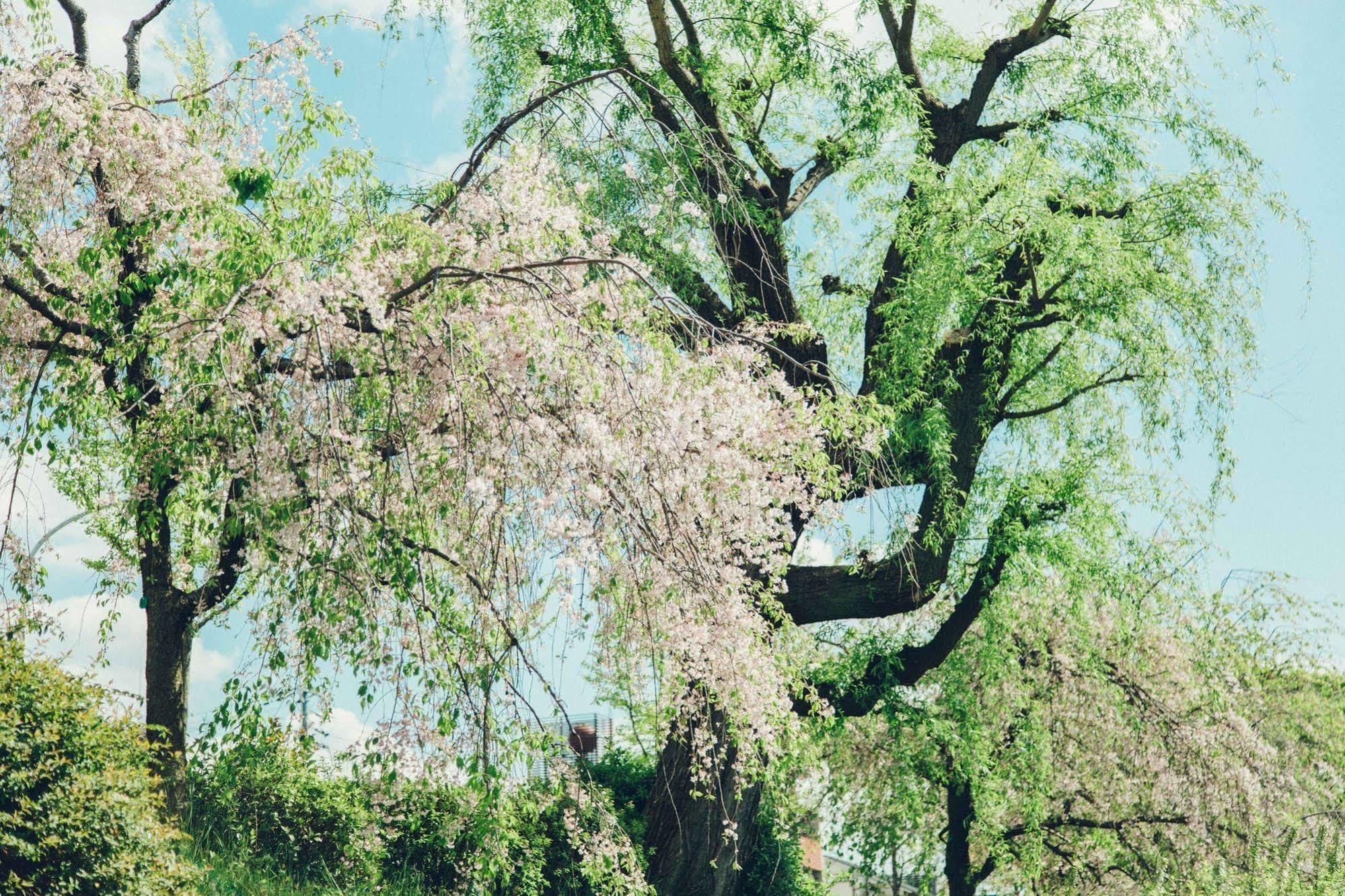 Len Kyoto Kawaramachi Hostel Εξωτερικό φωτογραφία